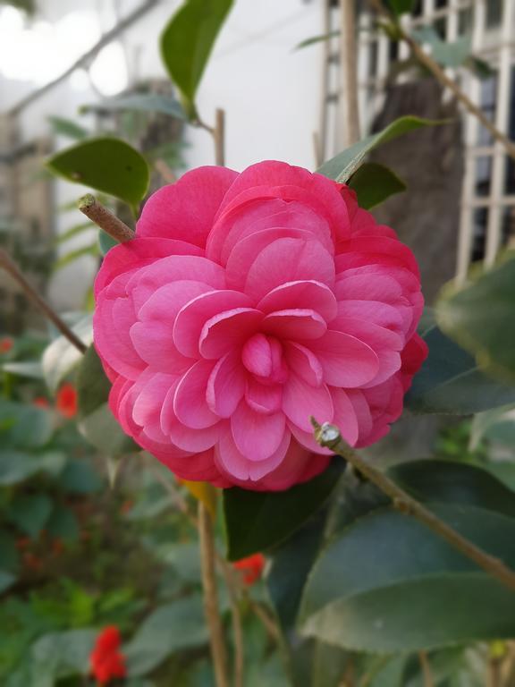 吾居吾宿 Zhixue エクステリア 写真